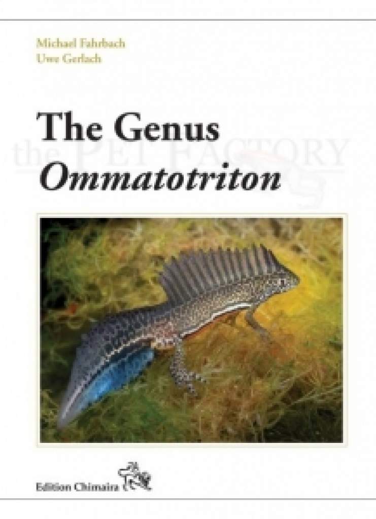 The Genus Ommatotriton